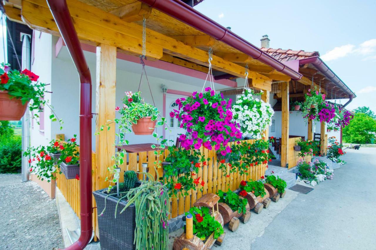 Guesthouse Ella Slunj Exterior foto